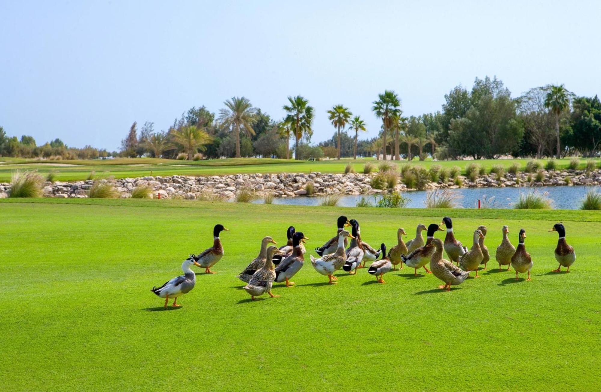 Velero Doha Hotel